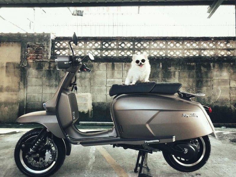 2020 Royal Alloy GP125
