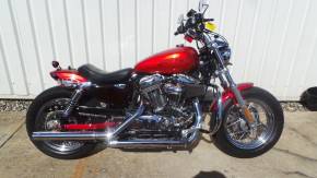 HARLEY-DAVIDSON XL1200CX 2015  at C & A Superbikes Kings Lynn